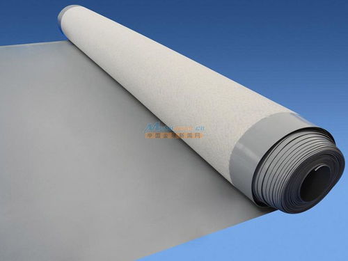 煙臺(tái)地區(qū)防水全解析 材料選擇、堵漏技術(shù)與工程實(shí)踐